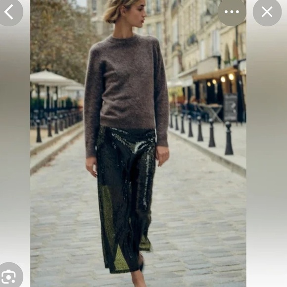 NWT ZARA 🎄Holiday SEQUIN MIDI SKIRT XS
🚨 FINAL PRICE NO OFFER ACCEPT - Picture 11 of 16